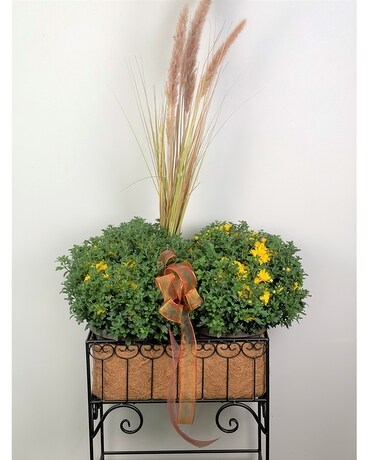 Rectangle Coco Planter with Outdoor Mums Plant