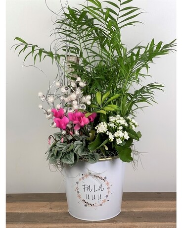 Fa La La Christmas Planter Plant