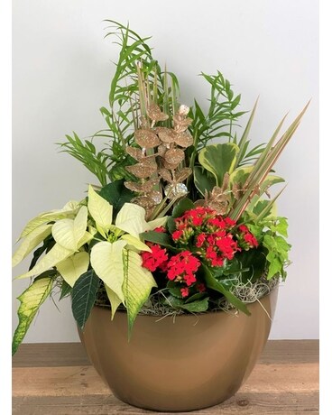 Holiday Gold Christmas Planter Plant