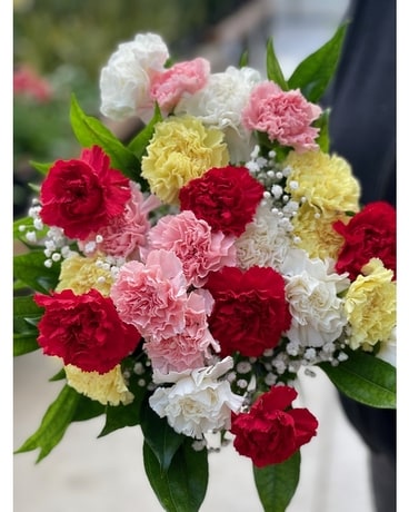 Carnation Cut Flower Bouquet Bouquet