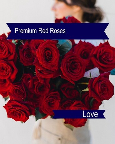 12 Gorgeous Cut Red Roses Bouquet