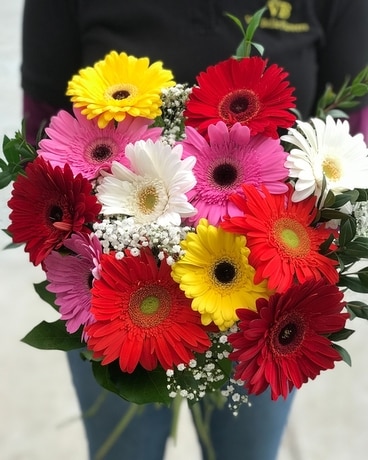 Gorgeous Gerbera Cut Flower Bouquet Bouquet