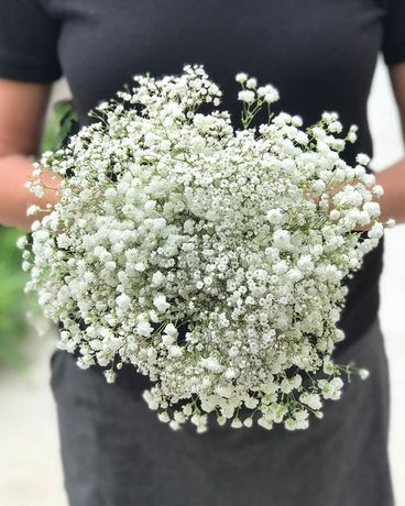 Baby's Breath Wedding Bouquet Wedding Arrangement