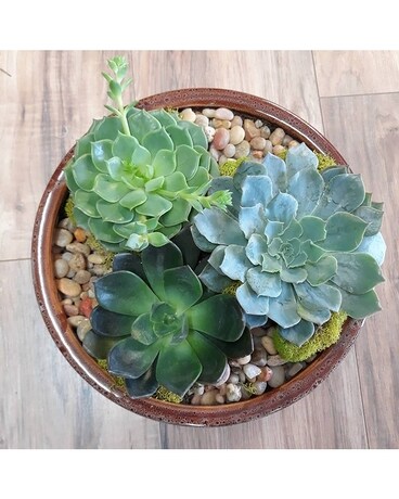 Succulent Garden Flower Arrangement