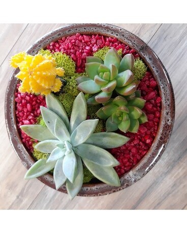 Succulent Garden Flower Arrangement