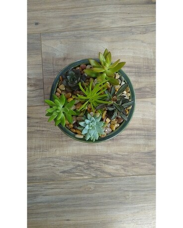 Succulent Garden 140 Flower Arrangement