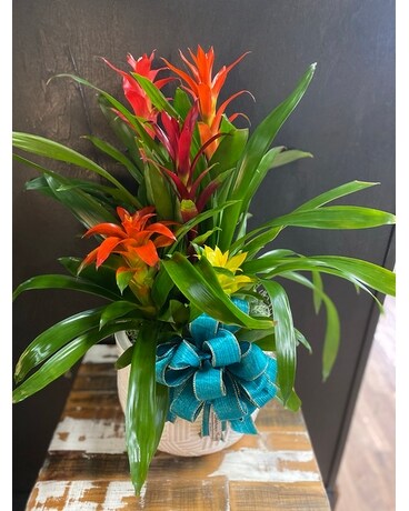 Bromeliad Flower Arrangement