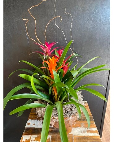 Bromeliad Flower Arrangement