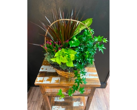 Dish Garden Flower Arrangement