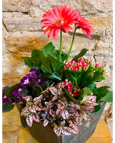 Spring has Sprung -box Flower Arrangement