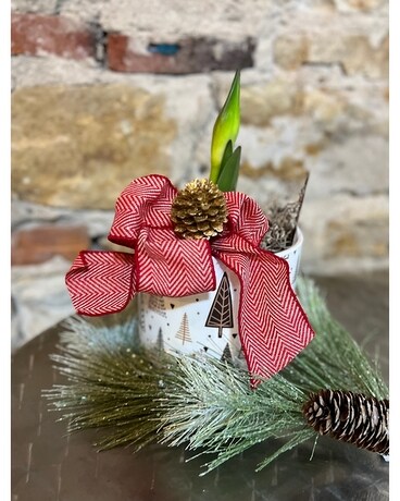 Potted Amaryliis Flower Arrangement