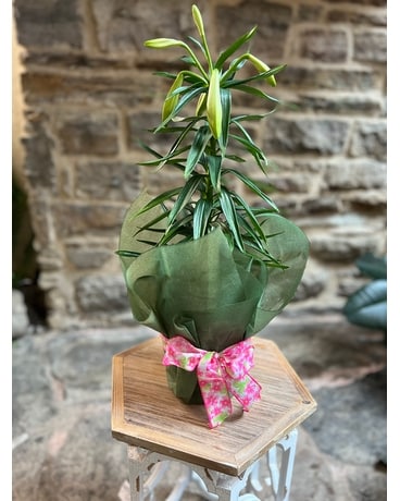 Easter Lily Flower Arrangement