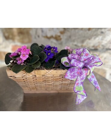 Mom's Trio Violet Flower Arrangement
