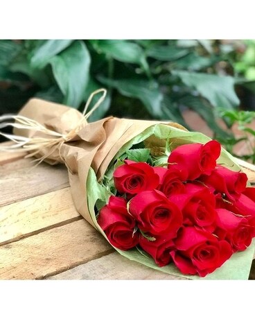 Dozen Red roses Cut and wrapped Flowers