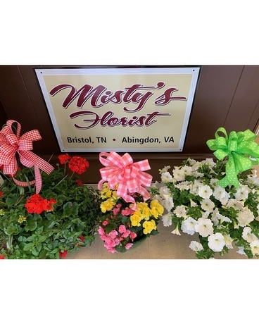 Blooming Plants Flower Arrangement