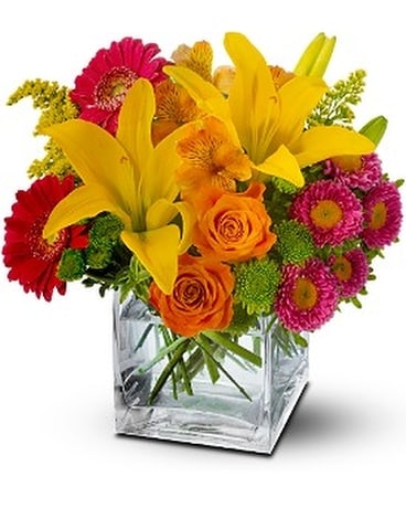 Teleflora's Summertime Splash Flower Arrangement