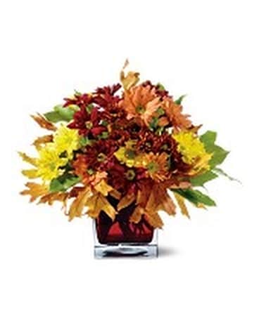 Mum Montage Flower Arrangement