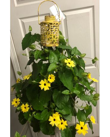 Hanging Basket with lantern Flower Arrangement