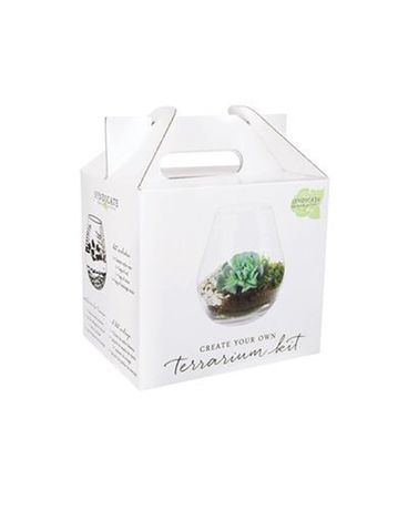 Lantern Terrarium Kit Gifts