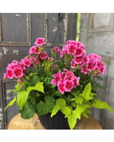 Outdoor Flowering Basket #1 Flower Arrangement
