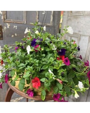 Outdoor Flowering Basket #2 Flower Arrangement