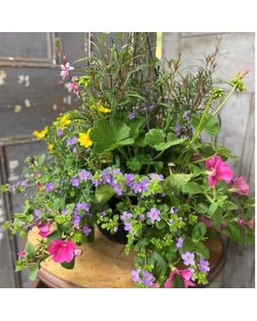 Outdoor Flowering Basket #3 Flower Arrangement