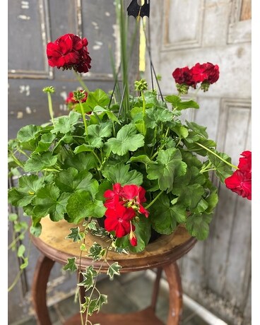 Outdoor Flowering Basket #8 Flower Arrangement