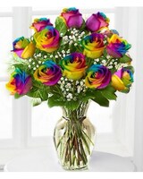 Premium 12 size,  inches height and  inches wide.