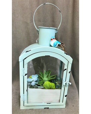 Succulent Lantern Flower Arrangement