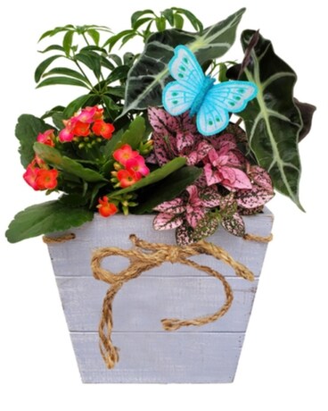 Wild Flower Wooden Planter Flower Arrangement