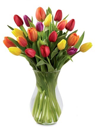 Bright Tulips Bouquet Flower Arrangement