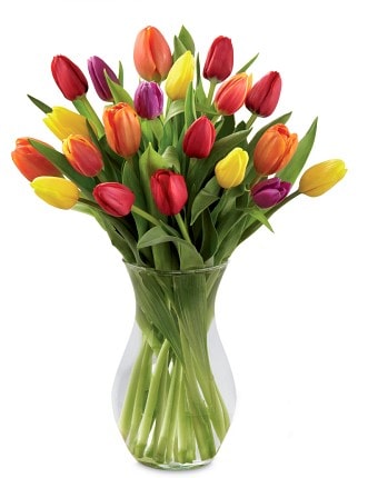 Bright Tulips Bouquet Flower Arrangement
