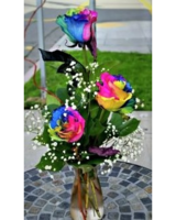 As Shown 3 size,  inches height and  inches wide.
