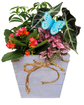 Wild Flower Wooden Planter Flower Arrangement