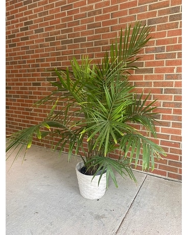 Palm Majesty Flower Arrangement