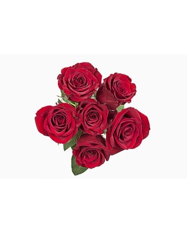 six red roses no vase Flower Arrangement