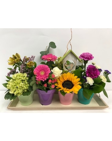 Spring Garden Pots Flower Arrangement