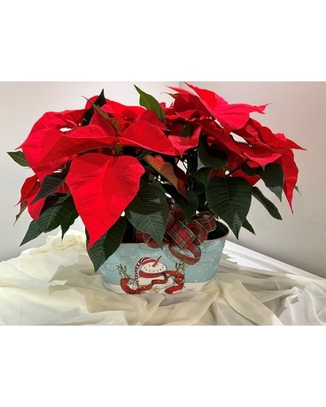 Holiday Poinsettia Flower Arrangement