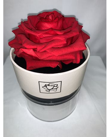 RFR5 Flower Arrangement