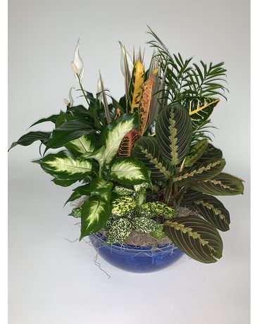 F6118 Flower Arrangement
