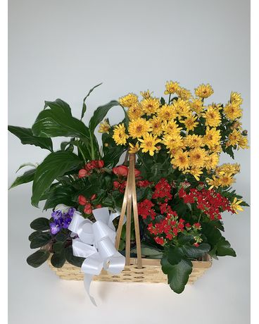 F6121 Flower Arrangement
