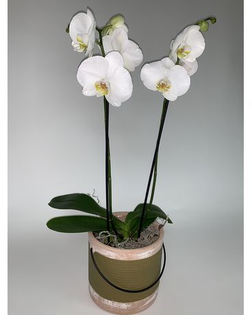 F6119 Flower Arrangement