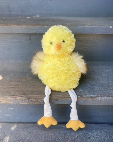 Chippy Chick Gifts