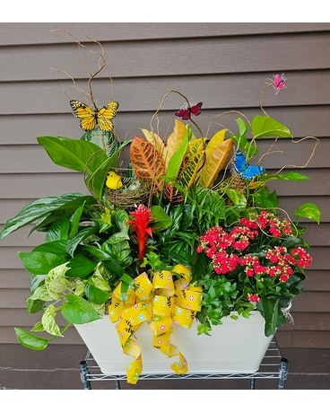 Bountiful Butterfly Garden Plant