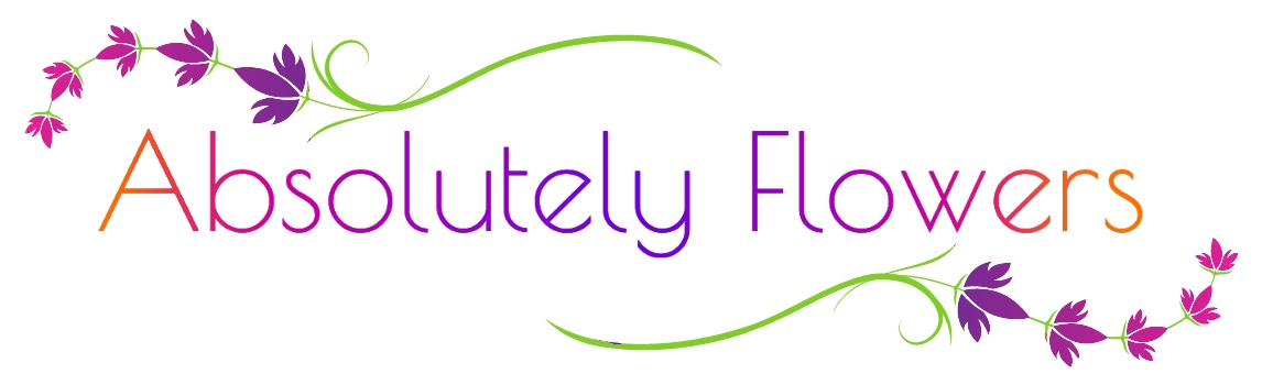 absolutely flowers logo