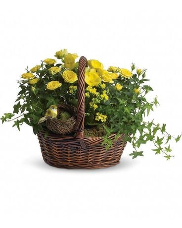 Yellow Trio Basket Flower Arrangement