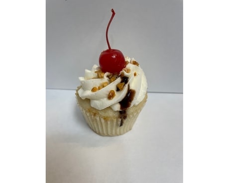 Turtle Cupcake Gifts