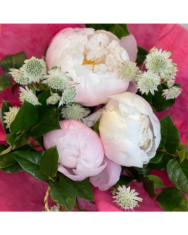 Petals for Paws Bouquet Bouquet