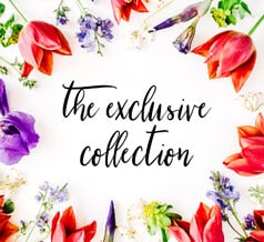 Exclusive Collection