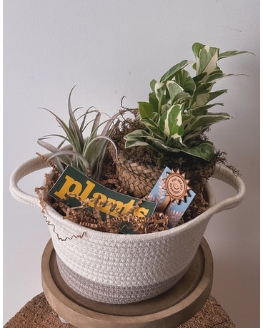 Plant One On Me Gift Basket Gift Basket